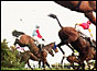 Horses racing in the 1993 Grand National