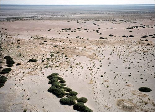 Дно Аральского моря. Aral sea. Осушка с самолета