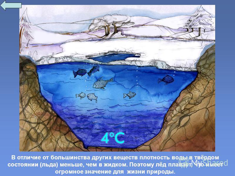 В отличие от большинства других веществ плотность воды в твёрдом состоянии (льда) меньше, чем в жидком. Поэтому лёд плавает, что имеет огромное значение для жизни природы.