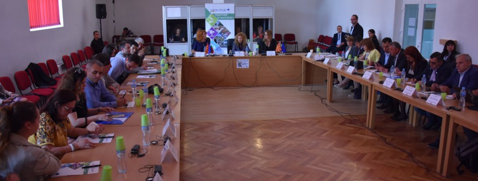 Fourth Joint Monitoring Committee meeting - Berovo
