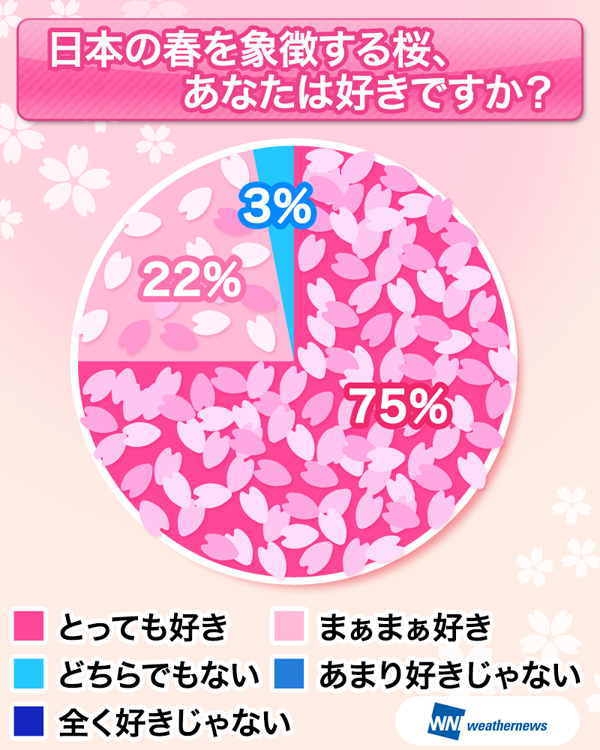 あなたは桜が好きですか？