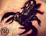 Татуировка скорпион на ключице