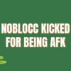 [noblocc] kicked for being afk