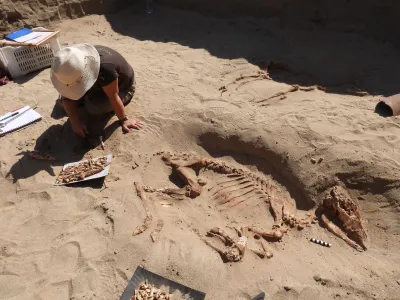Archaeologists have been studying the pet cemetery since it was first discovered in 2011.