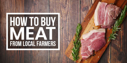 how to buy meat from local farmers