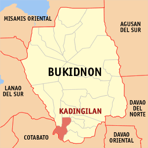 Mapa sa Bukidnon nga nagpakita sa nahimutangan sa Kadingilan