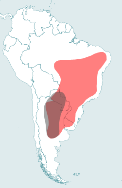 Мапа поширення каріамових