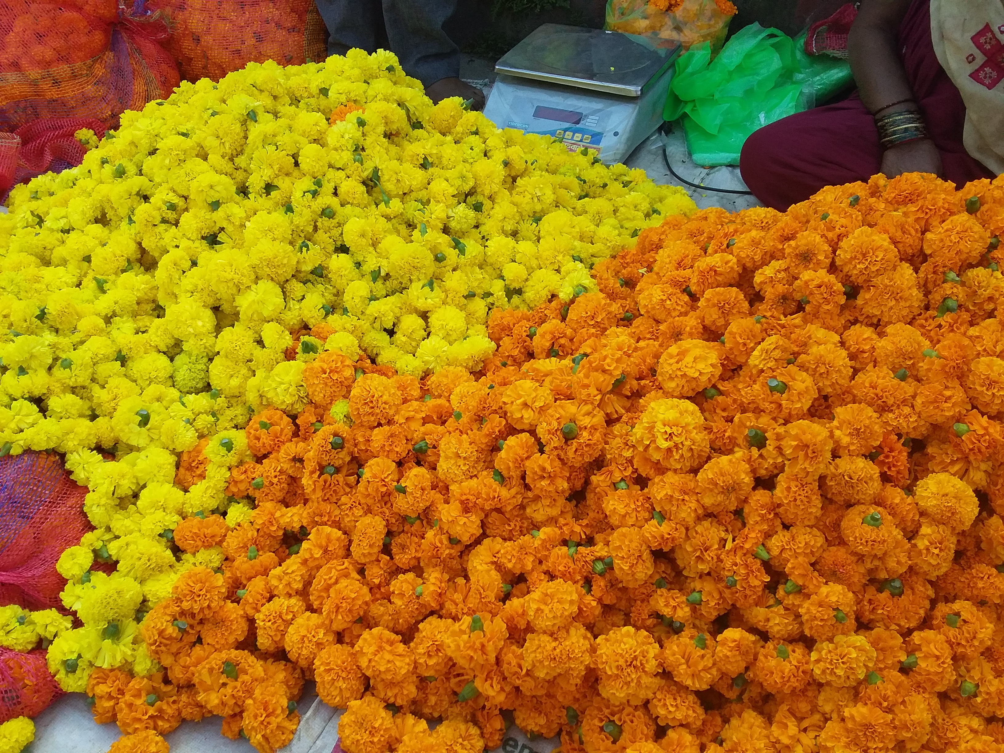 लक्ष्मीपूजनासाठी झेंडूच्या फुलांची विक्री, सातारा, महाराष्ट्र
