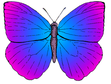 File:Butterfly top PSF artistic license.png
