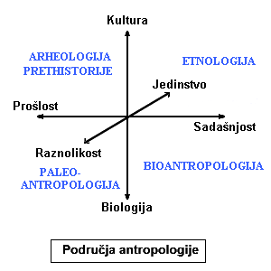 Područja antropologije