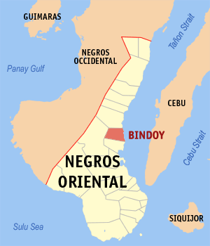 Mapa sa Negros Oriental nga nagapakita kon asa ang Bindoy