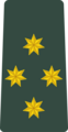 კაპიტანი (K’ap’it’ani) กองทัพบกจอร์เจีย