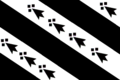 Bandera Pays Rennes.png PNG: historical flag of Pays Rennais (Bro Roazhon), Brittany, France.