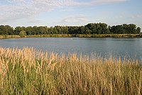 Liqeni Cucovna