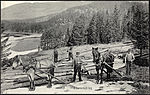 Tømmerkjøring tidlig på 1900-tallet Postkort: Nasjonalbiblioteket