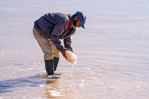 A salt collector in the El Abassia salt marshes in Kerkennah - Tunisia