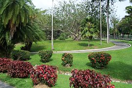 Ботанічний сад Тринідаду