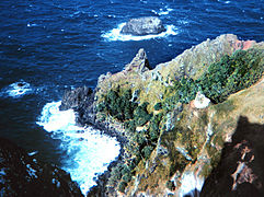 Pitcairnov otok