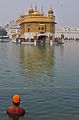 A Sikh pilgrim at the temple