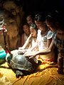 20.8 - 26.8: Ina tartaruga sontga en la chaverna da las channas da flauta a Guilin en la China.