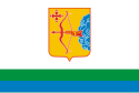 Oblast de Kirov - Bandera