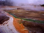 Thumbnail for File:Bacteria at norris geyser basin.jpg