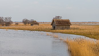 Cabanas de pescadores na margem do rio Suitsu, no Parque Nacional de Matsalu, Estônia (definição 5 600 × 3 200)