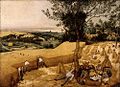 Žatva (1565) z cyklu mesiacov