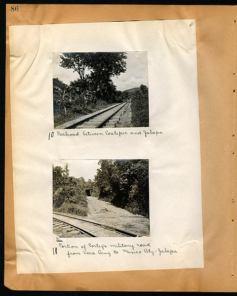 File:Chase album, 1898, 1903, and undated (Page 86) BHL46399521.jpg