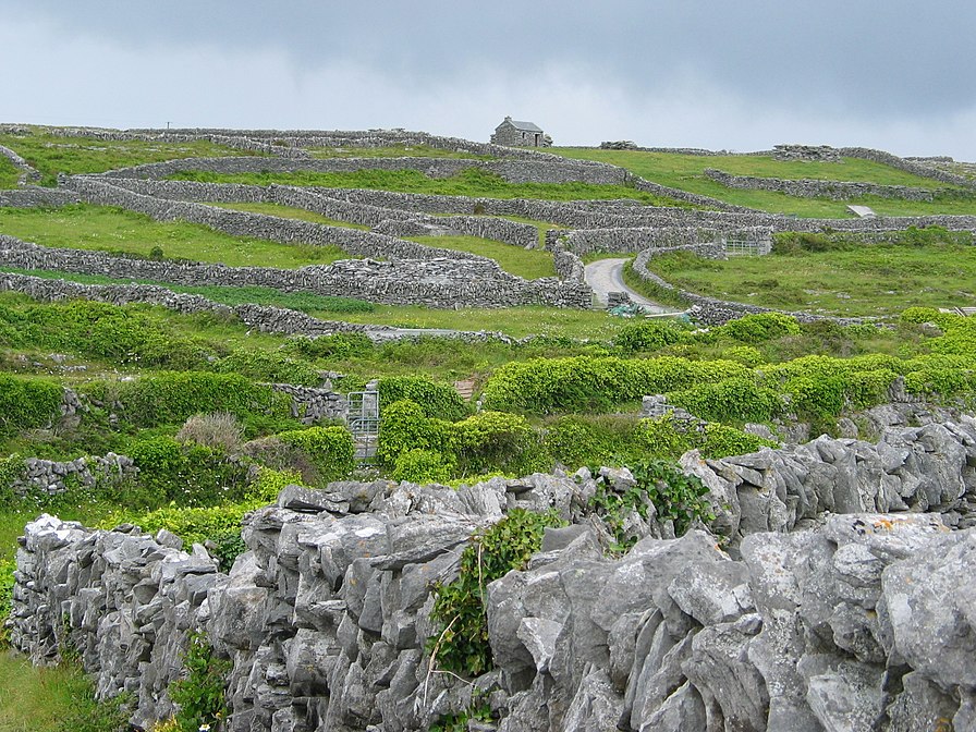 Dry Stone Walls on Inisheer (Inis Oírr), Ireland.
