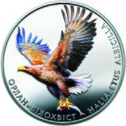 Пам'ятна монета НБУ номіналом 2 грн присвячена орлану-білохвосту