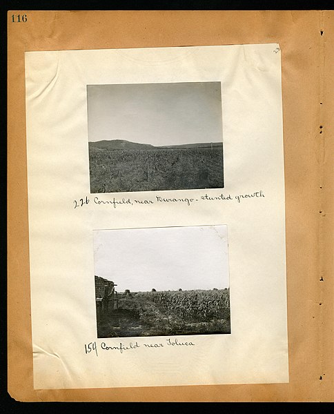 File:Chase album, 1898, 1903, and undated (Page 116) BHL46399551.jpg
