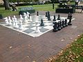 Large chess set in Franklin Square, Tasmania