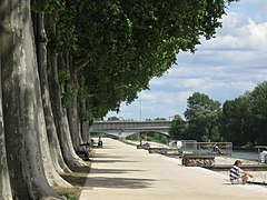 Promenade au bord de la Loire.