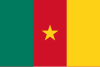 Drapeau du Cameroun (fr)