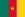 Kamerun bayrak
