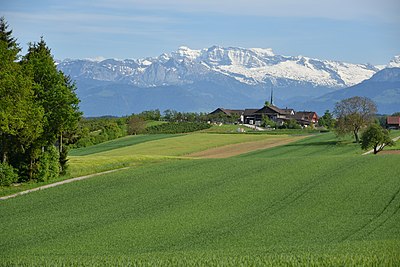 Pemandangan Pegunungan Alpen dilihat dari Perternakan Jucker