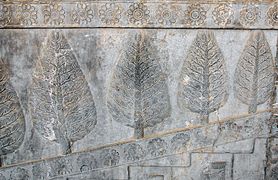 Fior di loto nel palazzo Apadana, Persepoli