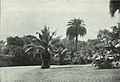 Hanging Gardens in Malabar Hill, c. 1905