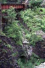 渡良瀬川縁付近まで下りてきたニホンカモシカ（写真中央）（旧・足尾線 間藤 - 足尾本山間、1997年7月22日）