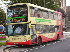 Bus della città