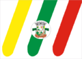 Bandeira de Carlos Gomes