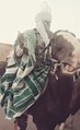 Hausa horse rider