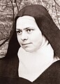 Elisabeth van de Drievuldigheid overleden op 9 november 1906