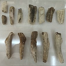 角铲，旧石器时代晚期塘子沟遗址，现藏于保山市博物馆
