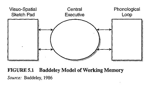 工作記憶嘅模型圖解