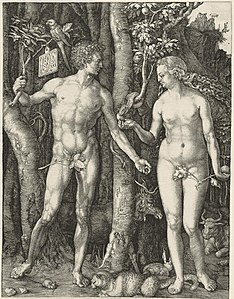 Адам и Ева. 1504