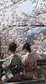 Virágnéző lányok Kiotóban