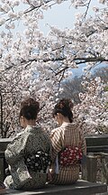 桜と着物姿の女性