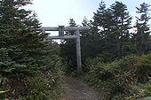 A shiroki torii